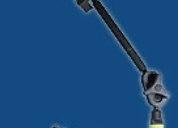 -Bonica_Snapper_.jpg.webp