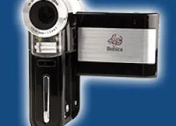 -Bonica_Snapper_DV_.jpg.webp