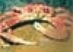 ___.jpg.webp