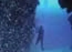 ___.jpg.webp