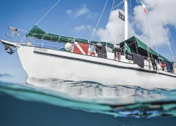 Blackbeards-Sea-Explorer-w-fins--Brandi-Mueller_edit.jpg.webp