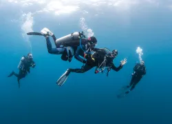 Dive-Master-OK-Galapagos-Annie-Crawley-_edit.jpg.webp