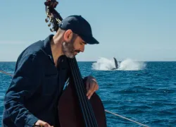 GarthStevensonPlayingWithHumpbackWhales_AndyMann.jpg.webp