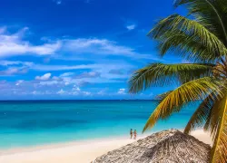 GrandCayman_Words As Photos_shutterstock.jpg.webp