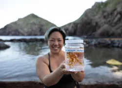 Saba__Sargassum-Field-Project_Tiff_VPham_edit.jpg.webp