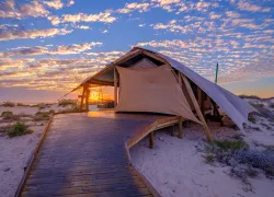 Sal Salis Ningaloo Reef    .jpg.webp
