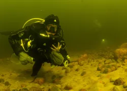 SpencerIslandDive_ForJennie.jpg.webp
