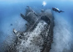 TH-Sub-courtesy-Tanya-Houppermans_edit.jpg.webp