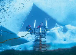 Winter Diving - Rich Synowiec- Divers Incorporated    Rich Synowiec_edit.jpg.webp