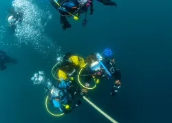 annie_crawley-divers-ascending-_edit.jpg.webp