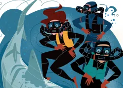 Scuba divers debate skipping their safety stop or waiting with a shark