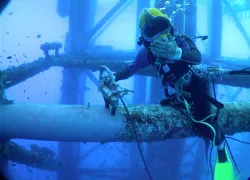 buceo.jpg.webp
