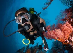 clear-your-mask.jpg.webp