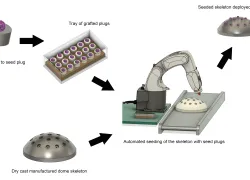 Coral maker production line