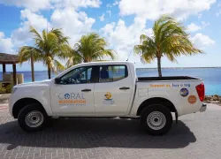 coral restoration bonaire