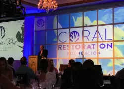crf-gala.jpg.webp