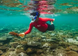 Crown of Thorns Starfish Removal