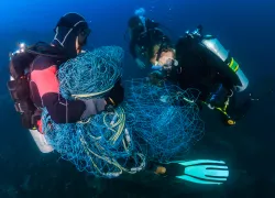 Divers clean up fishing net.