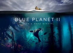 blue planet ii trailer