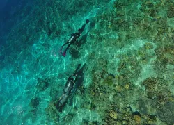 scuba divers manado indonesia