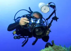 five-tips-preview-.jpg.webp