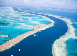 gbr_istock-.jpg.webp