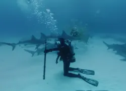 gopro__video.png.webp