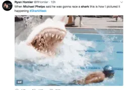 Michael Phelps vs Great White Shark