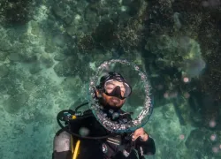 large-Punta Deseo C Coiba National Park C Gulf of Chiriqu C AD C Panam C A   .jpg.webp