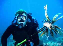 lionfish removal awareness tournament florida fwc spear
