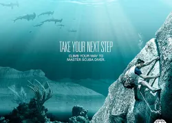 livetoscuba_msd.jpg.webp