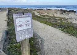 marineprotectedarea_bethpike_IMG_-scaled.jpeg.webp