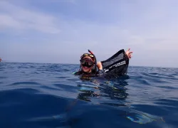 nic_emery_dive_against_debirs.jpg.webp