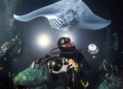 Great gear for scuba diving at night.