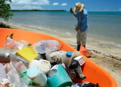 beach cleanup