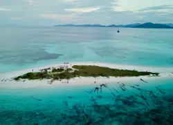 Oceanic Society Scuba Expedition 