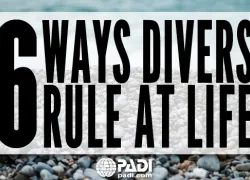 padi.jpg.webp