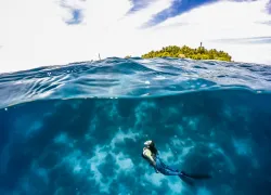 project-aware--action-for-the-ocean.jpg.webp