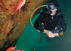 project_aware_juanblanco_dive_site_teaser.jpg.webp