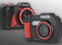 underwater cameras and housings 