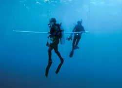 spd-premium-avoid-dcs-divers-new-_istock__large_v.jpg.webp