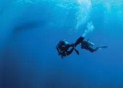 Scuba Diving what to do if you lose the dive boat
