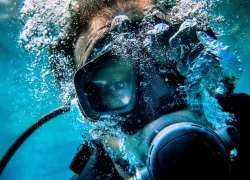 Panicked Scuba Diver Underwater Photo