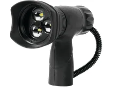 spd_sealifeundlight.jpg.webp