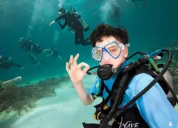 spd_training_bsa__vweb_.jpg.webp