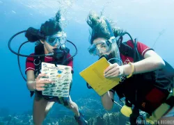 spd_wb_grenadines_odyssey_researchgirls_jasonbuchheim.jpg.webp