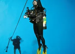 spd_askdan_diver-cje__web.jpg.webp