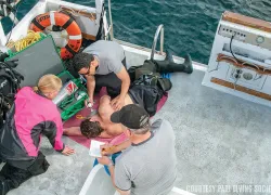 spd_divelife_padi_rdonln__web_.jpg.webp
