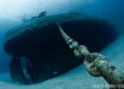 spd_training_mzeigler_kittiwake_mz_web.jpg.webp