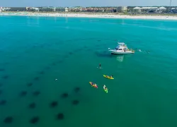 South Walton Artificial Reef Association